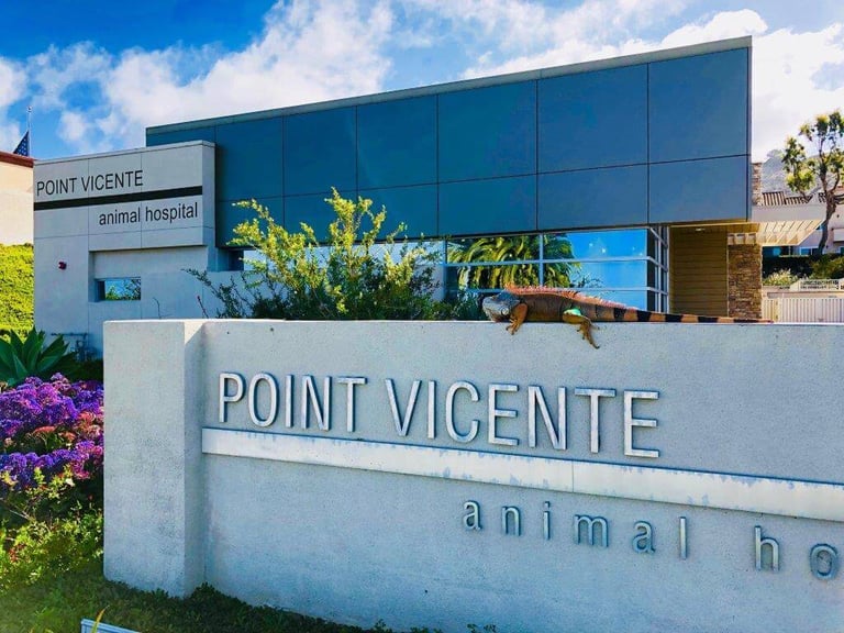 GEC2 Installs Surgical Lighting for Point Vicente Animal Hospital